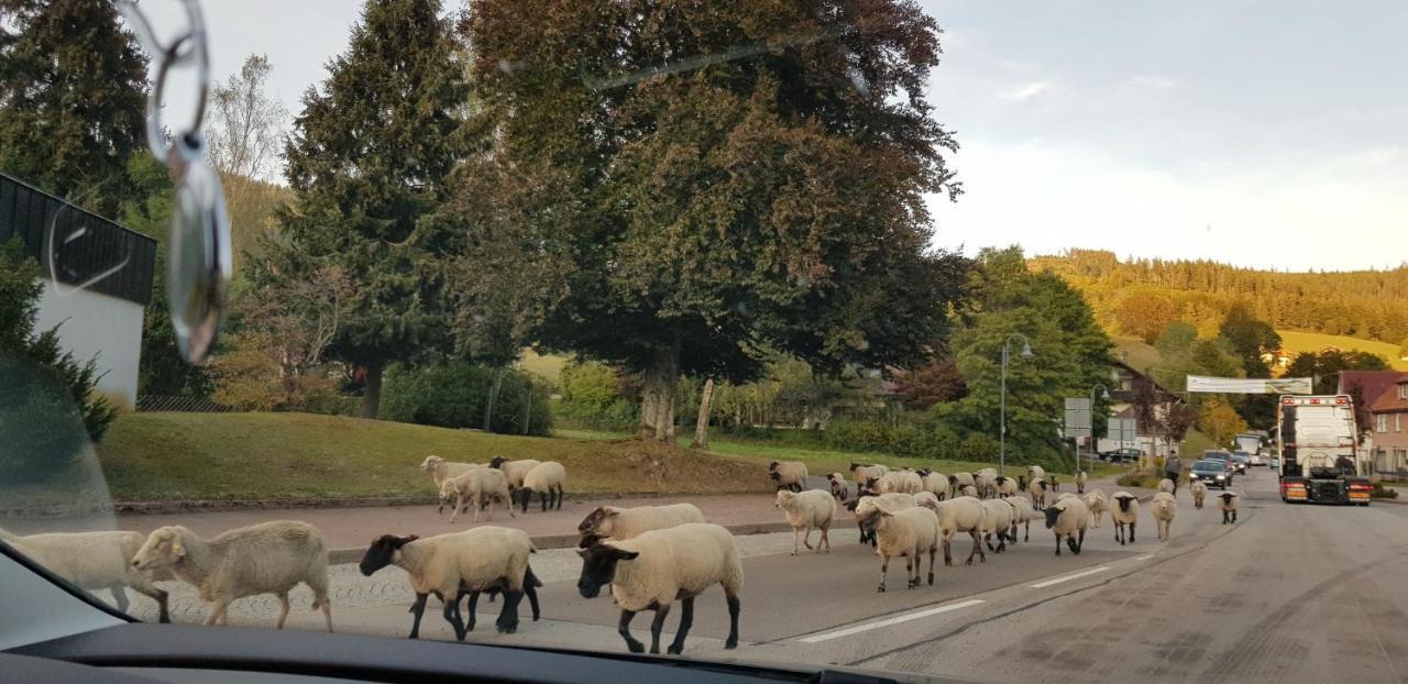 Ferienwohnung Vogelnest Im Schwarzwald ไบเออร์สบรอนน์ ภายนอก รูปภาพ