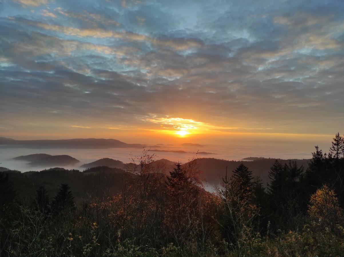 Ferienwohnung Vogelnest Im Schwarzwald ไบเออร์สบรอนน์ ภายนอก รูปภาพ