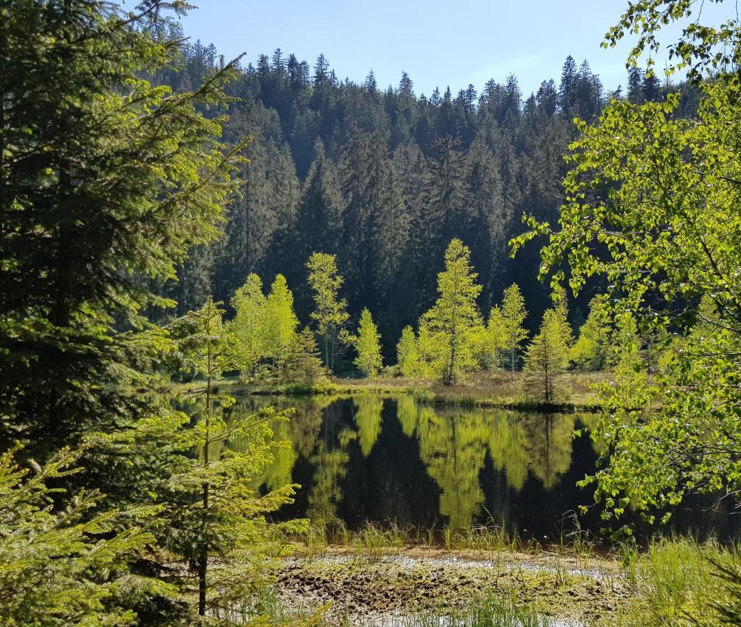 Ferienwohnung Vogelnest Im Schwarzwald ไบเออร์สบรอนน์ ภายนอก รูปภาพ