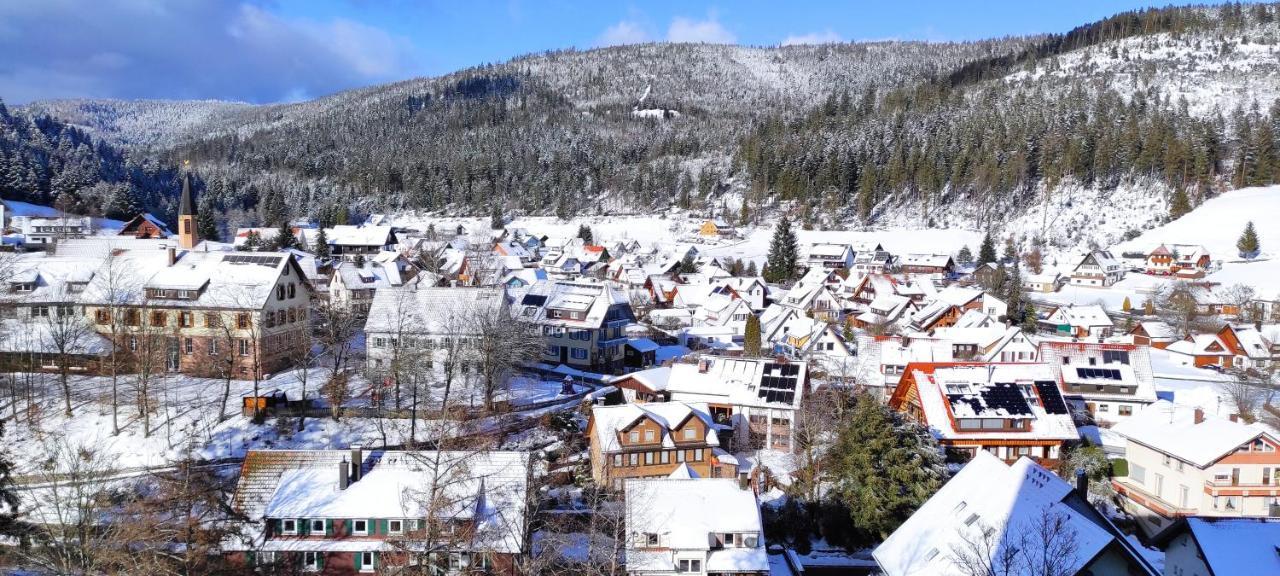Ferienwohnung Vogelnest Im Schwarzwald ไบเออร์สบรอนน์ ภายนอก รูปภาพ