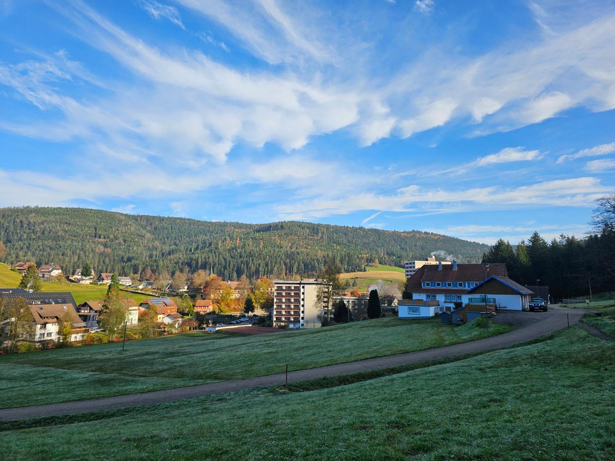 Ferienwohnung Vogelnest Im Schwarzwald ไบเออร์สบรอนน์ ภายนอก รูปภาพ